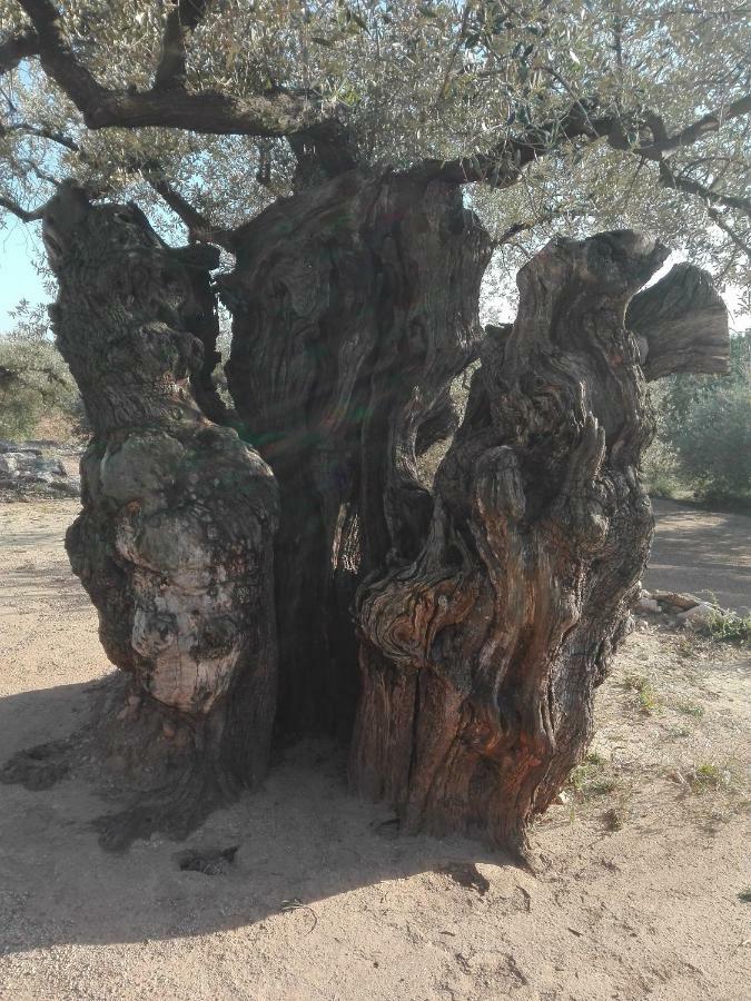 La Mallada San Jorge  Exteriér fotografie